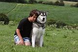 ENFANT ET CHIEN 329